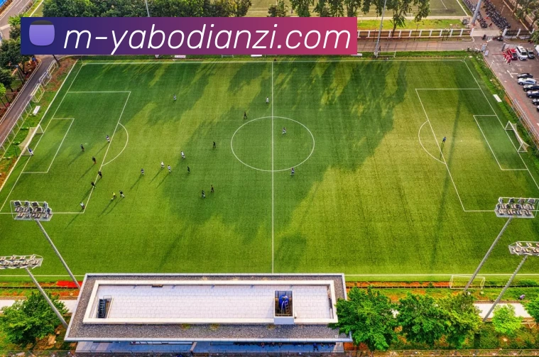 App Interface Preview